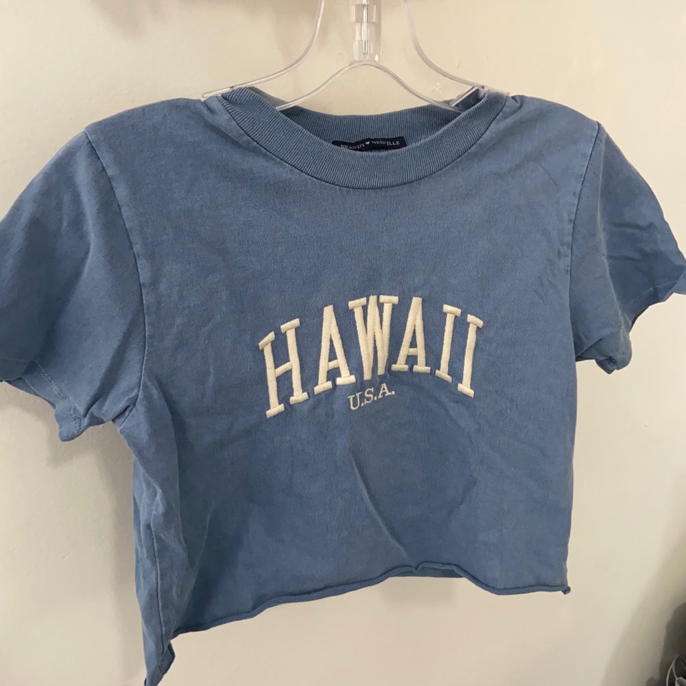 Brandy Melville Crop top